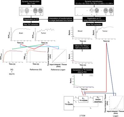 Dynamic 18F-FDopa PET Imaging for Newly Diagnosed Gliomas: Is a Semiquantitative Model Sufficient?